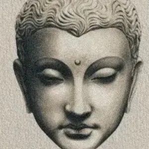 Meet your Posher, Kit